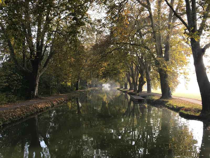 Wunderschöner Naturanleger auf dem Canal du Rhône au Rhin bergwärts hinter Dole