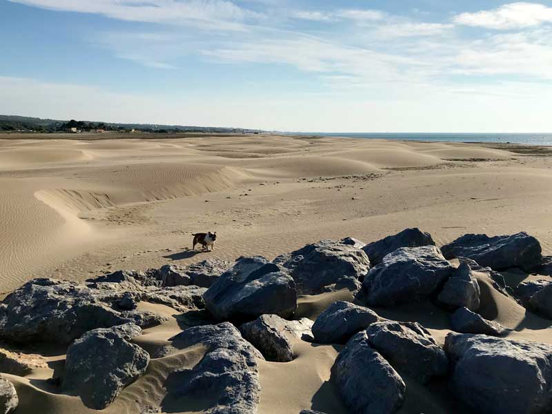 Gruissan Ayguades: toller Strand mit Dünen