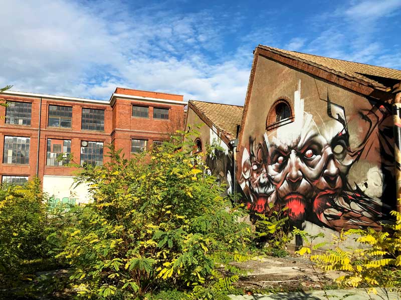 Die Grafitti auf den leerstehenden Gebäuden auf dem DMC Gelände sind teilweise sehr kunstvoll