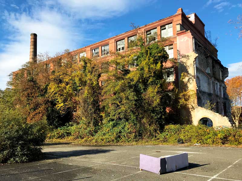 Die Gebäude auf dem alten DMC Areal in Mulhouse sind zum Teil völlig überwuchert