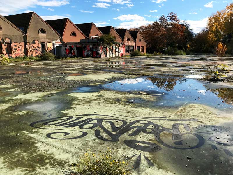 Vermutlich ein alter Sportplatz auf dem DMC Areal, der völlig überwuchert ist