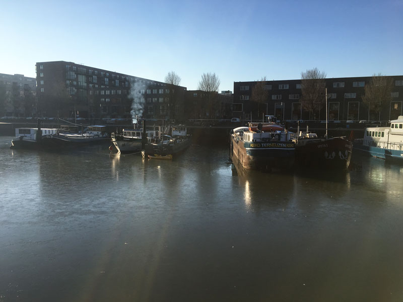 Auf dem Binnenhaven liegt bereits eine dünne Eisschicht