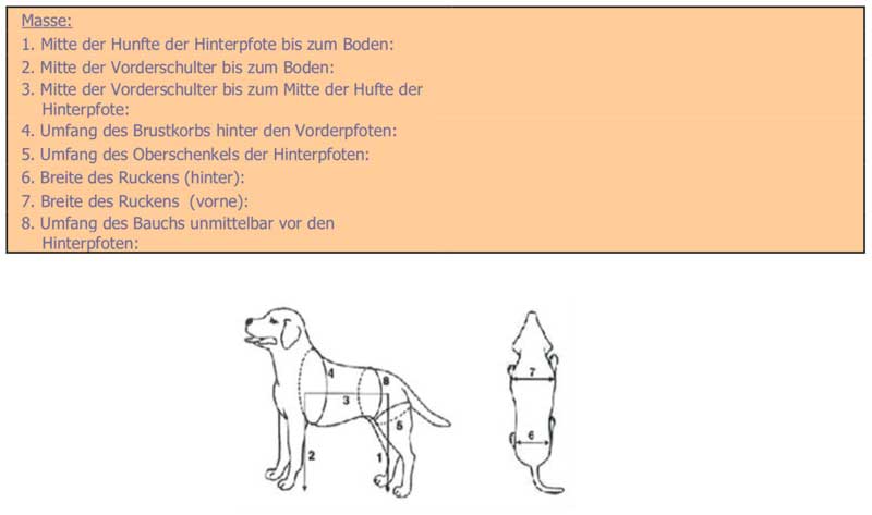 Nicht zu 100% einleuchtend sind die Anweisungen zum Abmessen des Hundes