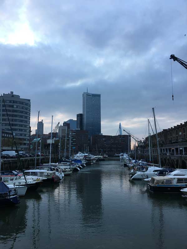 Hinter dem Entrepothaven sieht man den Maastoren und die Erasmusbrug
