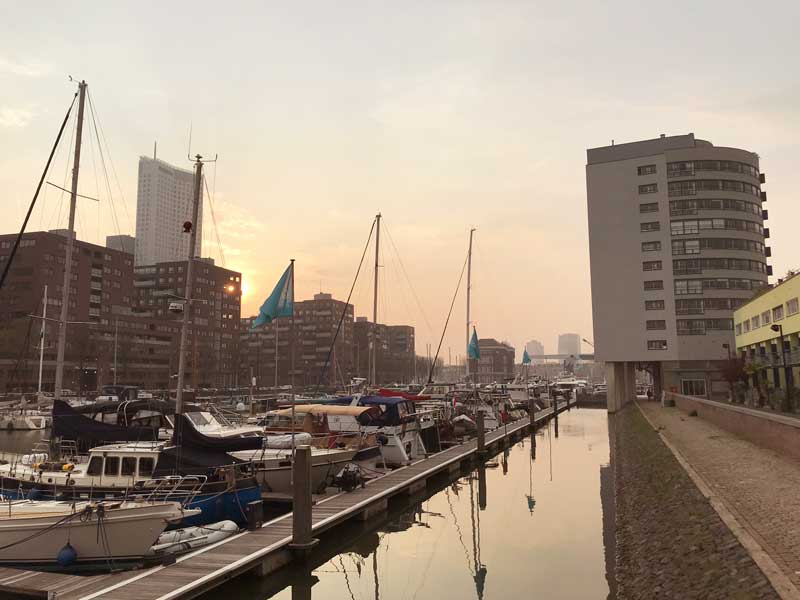 Milchiges, rosafarbenes Licht beim Sonnenuntergang über der Rotterdam City Marina