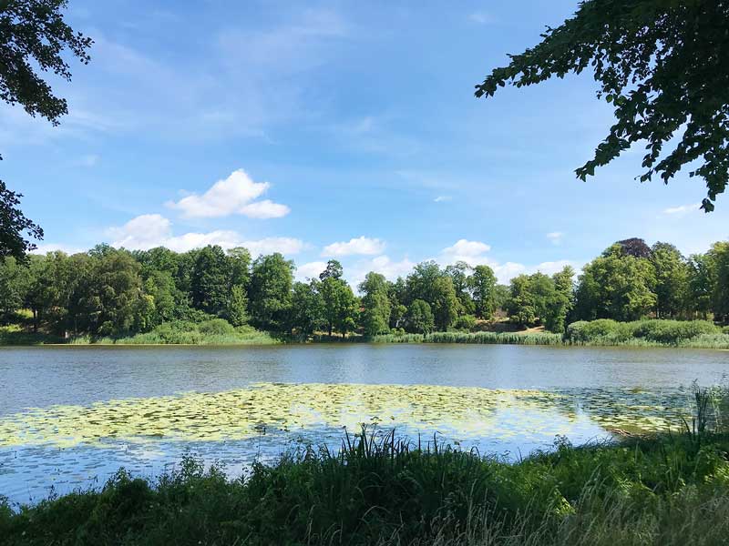 Haussee: Romantischer kleiner See mit Seerosen im Schlosspark Petzow, Werder Havel