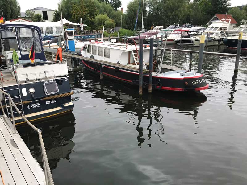 Die Stege in der Marina am Tiefen See in Potsdam sind so weit über dem Wasserspiegel, dass der Hund dort nicht hinaufkommt