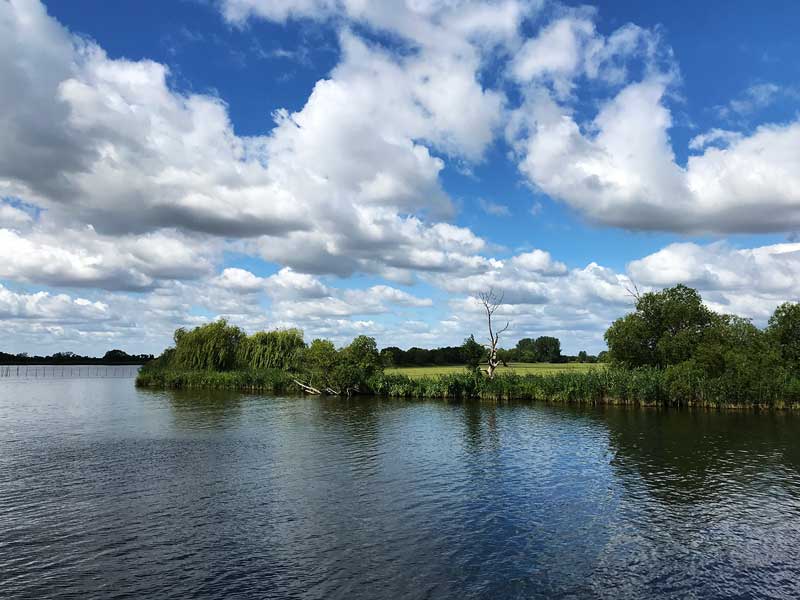 Grünes Ufer der Potsdamer Havel zwischen Ketzin und Werder