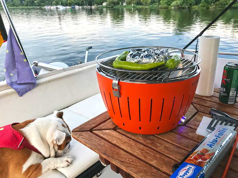 Englische Bulldoge liegt auf der Bank neben einem Tisch mit Lotus Grill und Grillgut mit Blick auf Tiefer See in Potsdam an der Havel