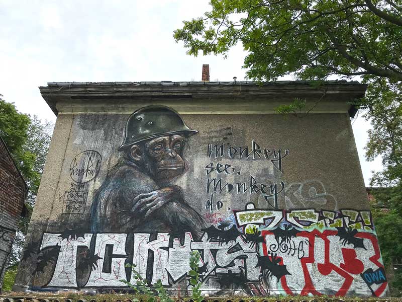 Eindrucksvolles großformatiges Graffiti eines Schimpansen mit Helm auf einer Hauswand im Stadtteil Treptow in Berlin. Die Aufschrift lautet "Monkey see, monkey do."
