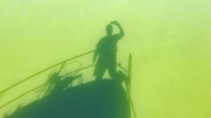 Schattenbild von Boot und Mensch auf der Wasseroberfläche eines von Blaualgen grün gefärbten Gewässers