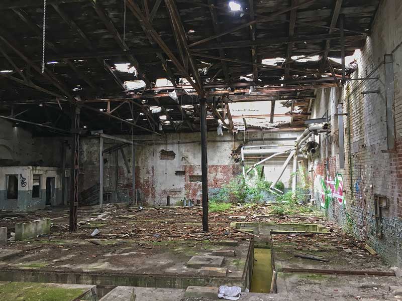 In der Maschinenhalle neben dem wasserturm der Landesirrenanstalt Teupitz, Brandenburg, südlich von Berlin, breitet sich schon Grünzeug aus, weil das Dach teilweise eingestürzt ist - Lost Places