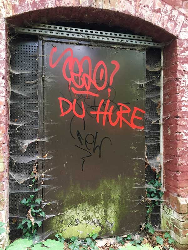 Alte Stahltür voller Spinnweben, mit einem Grafitto "DU HURE" besprüht, in der Landesirrenanstalt Teupitz, Brandenburg, südlich von Berlin - Lost Places