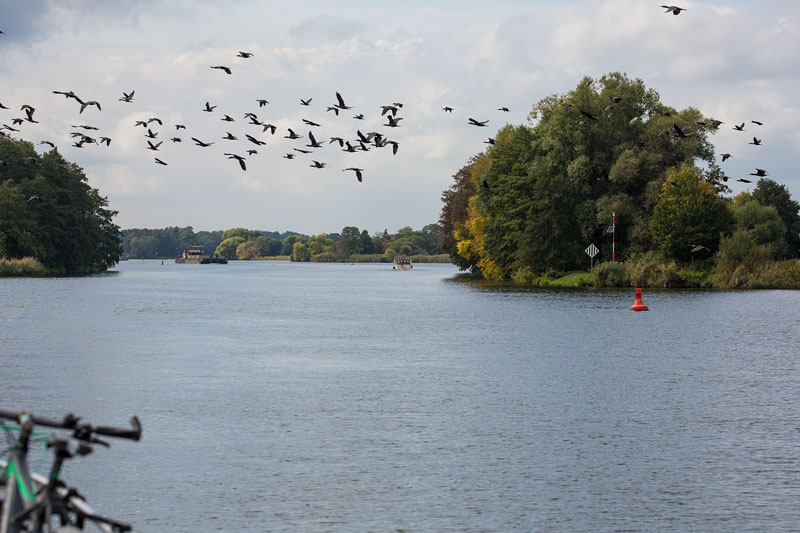 auf der Havel in Brandeburg, vor uns ein Sportboot und ein Frachtschiff. Ein Schwarm Gänse quert unseren Weg.