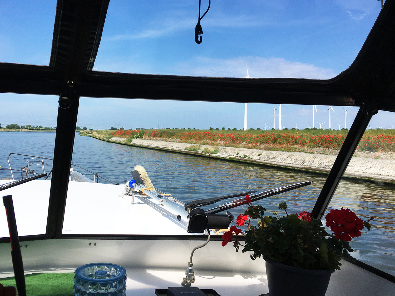 Entlang der Schelde-Rijn-Verbinding sind immer wieder leuchtendrote Mohnfelder zu sehen, dahinter Windkraftanlagen; Blick vom Steuerstand der Yacht